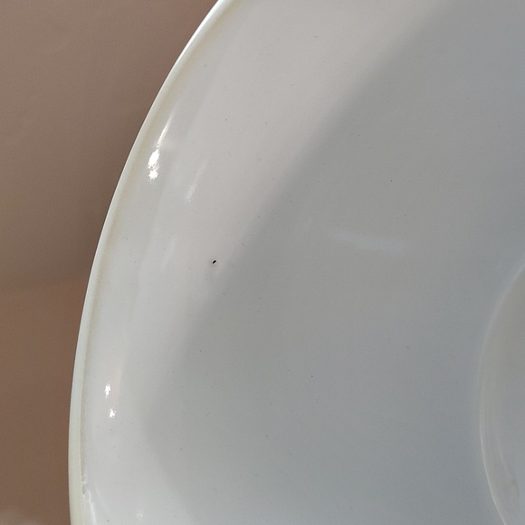 Artist Casey Krimmel Nature Floral Mug 20 Oz Sunflowers Leaves Mushrooms 2022 - Picture 6 of 7